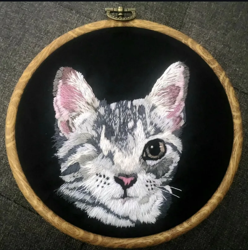 Pet Portraits